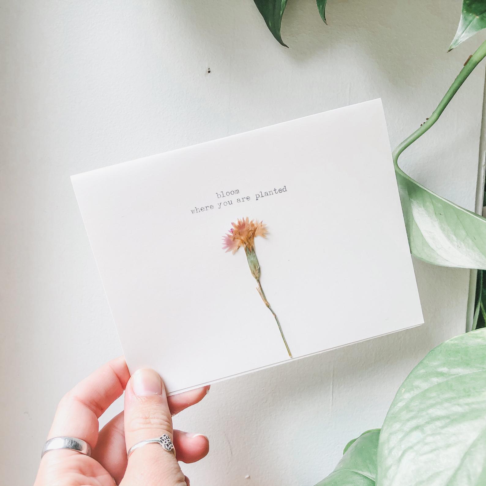 bloom where you are planted greeting card